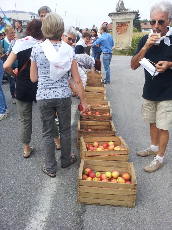 immagini carovana della pace 2013