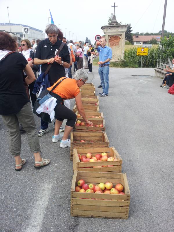 immagini carovana della pace 2013